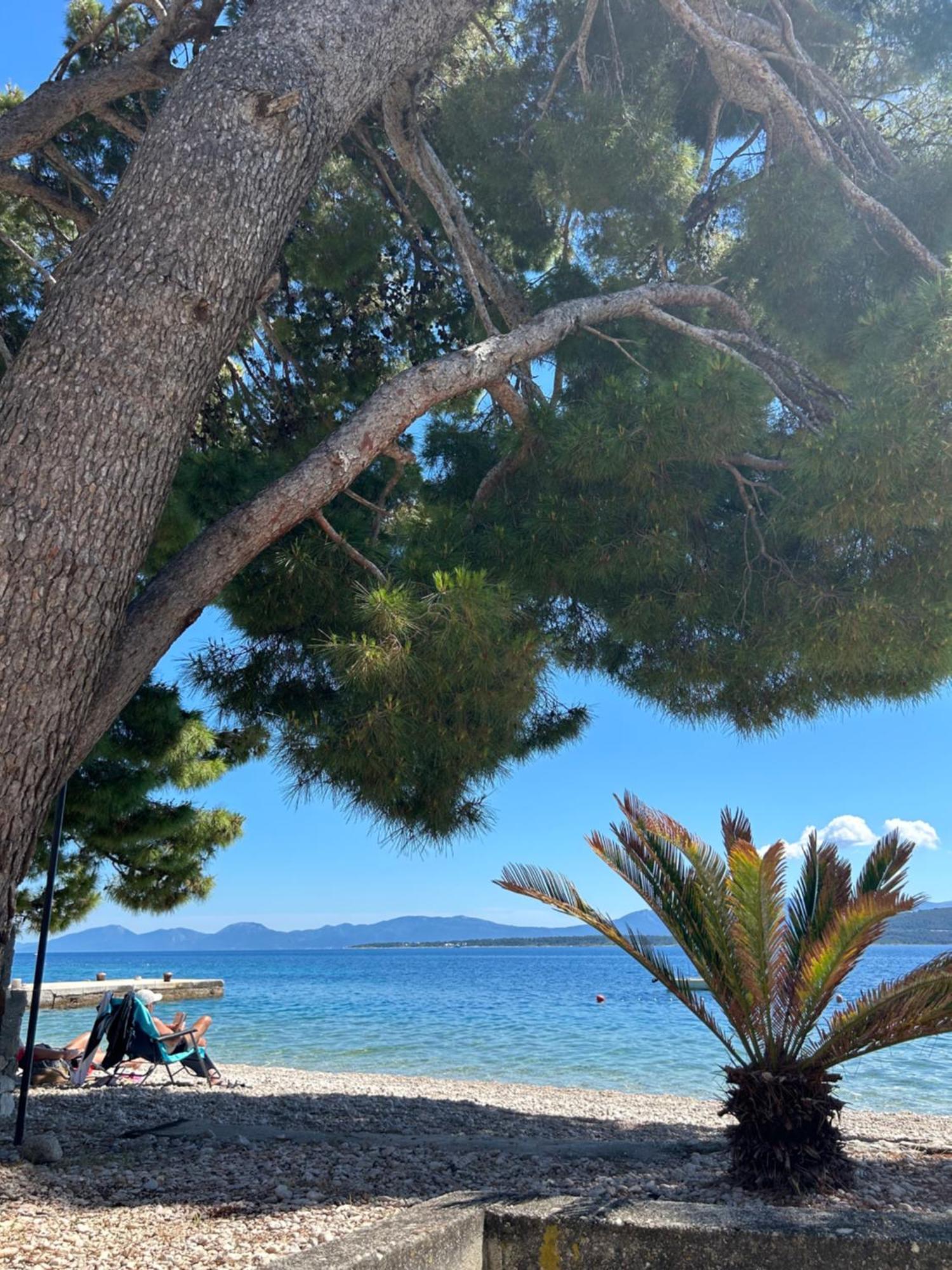 Sobe Gorana Hotel Zivogosce Bagian luar foto