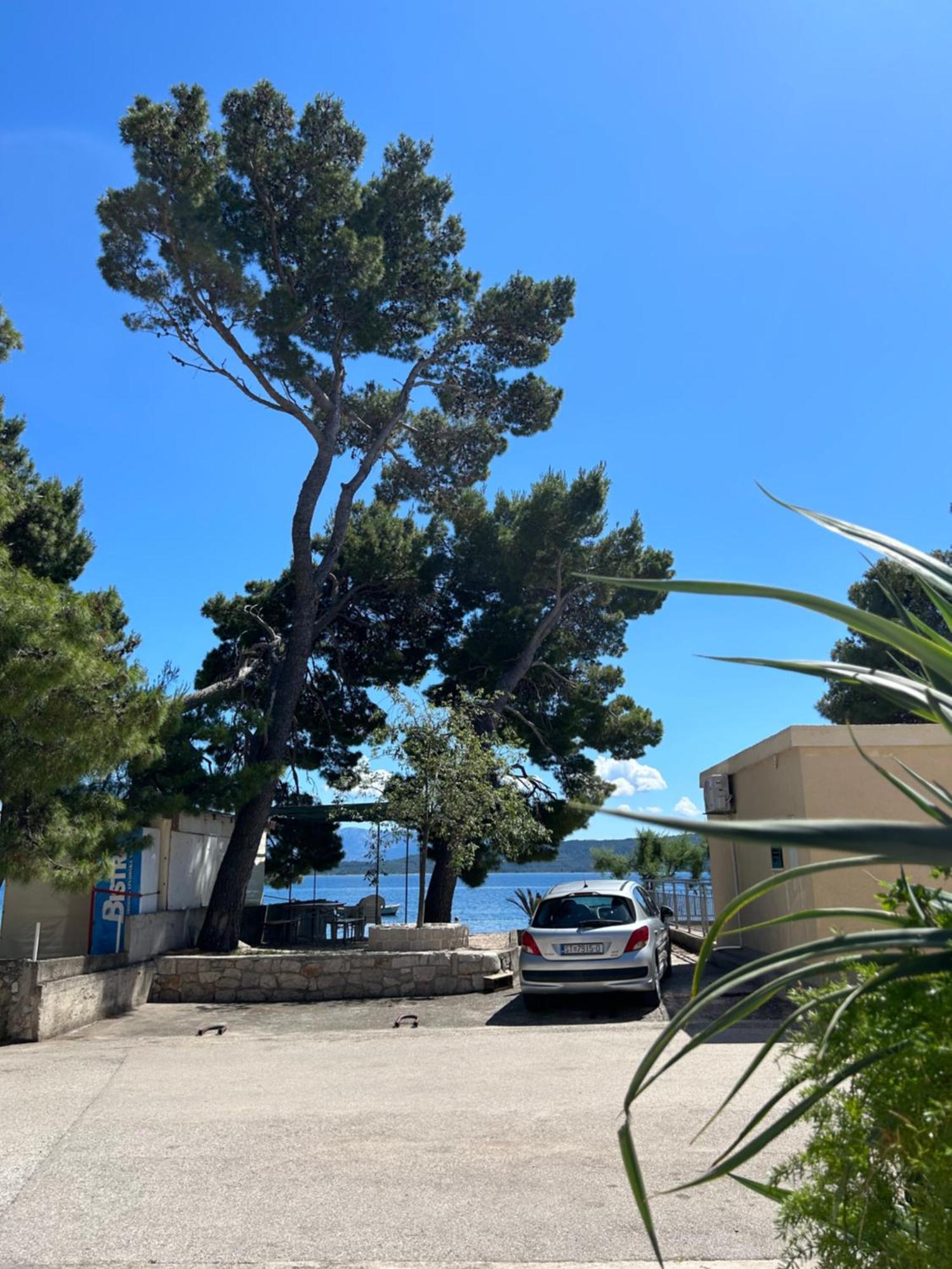 Sobe Gorana Hotel Zivogosce Bagian luar foto