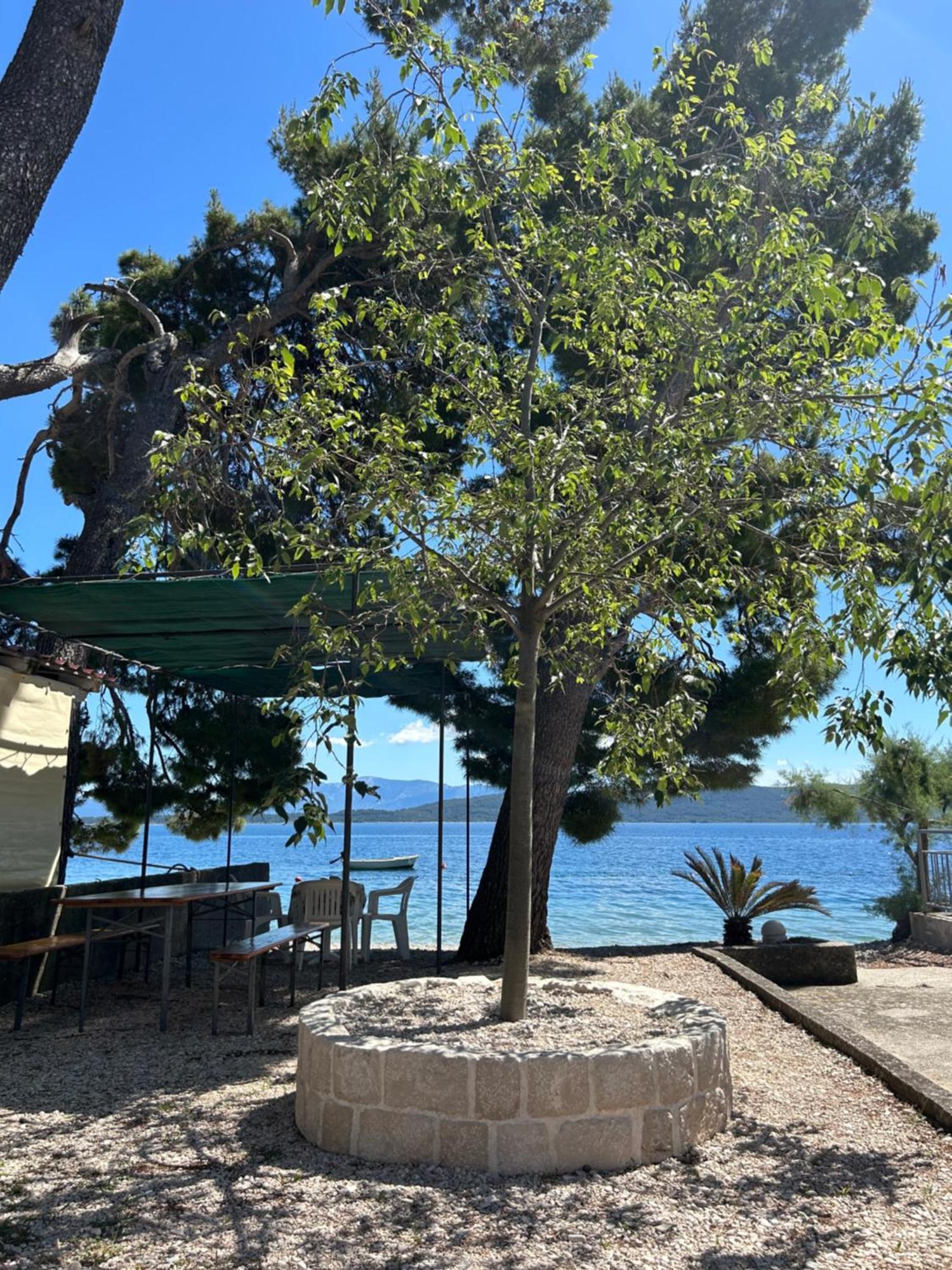 Sobe Gorana Hotel Zivogosce Bagian luar foto